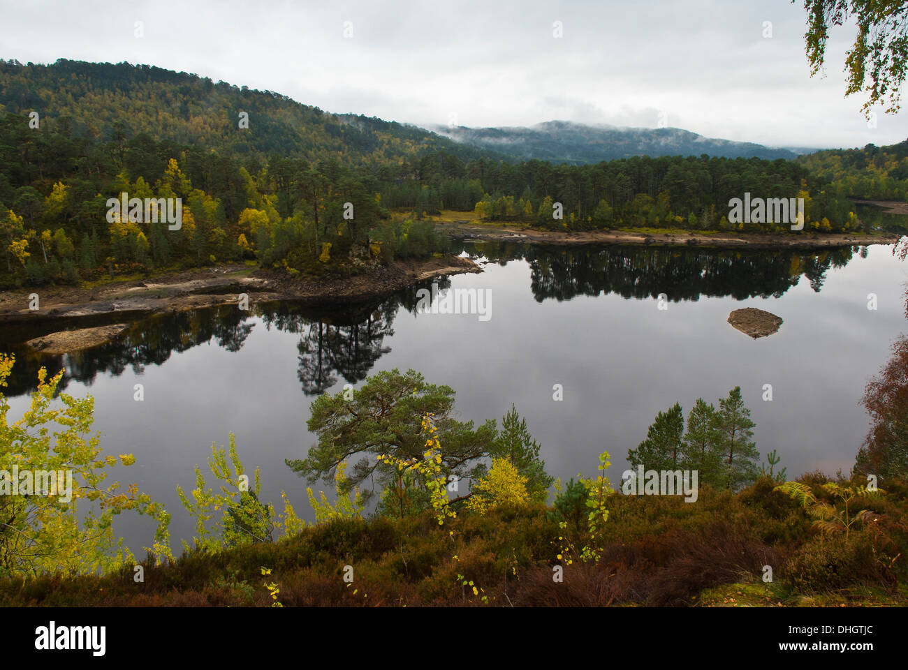 L'automne à Glen Affric, Inverness Shire, Ecosse Banque D'Images