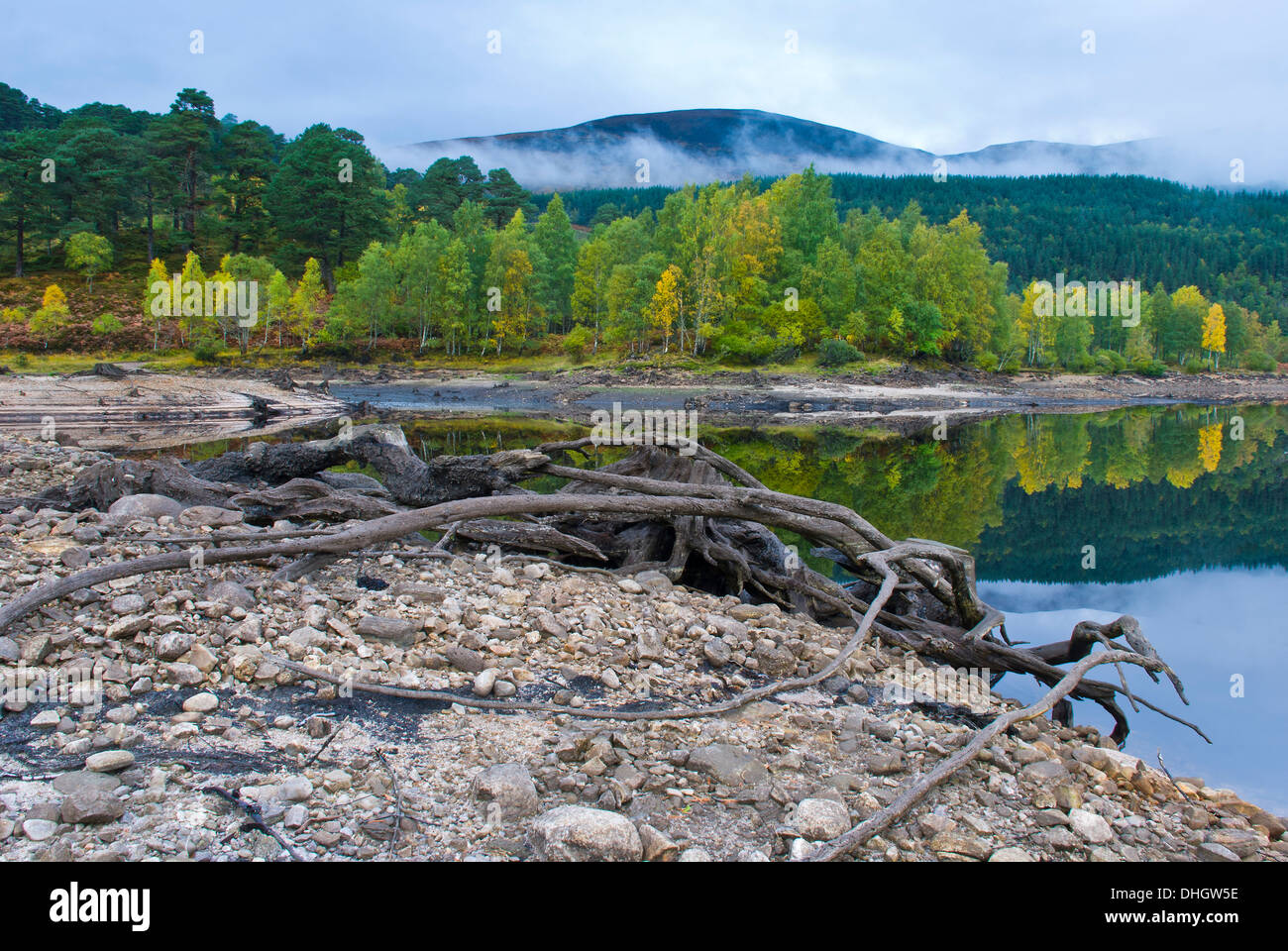 L'automne à Glen Affric, Inverness Shire, Ecosse Banque D'Images