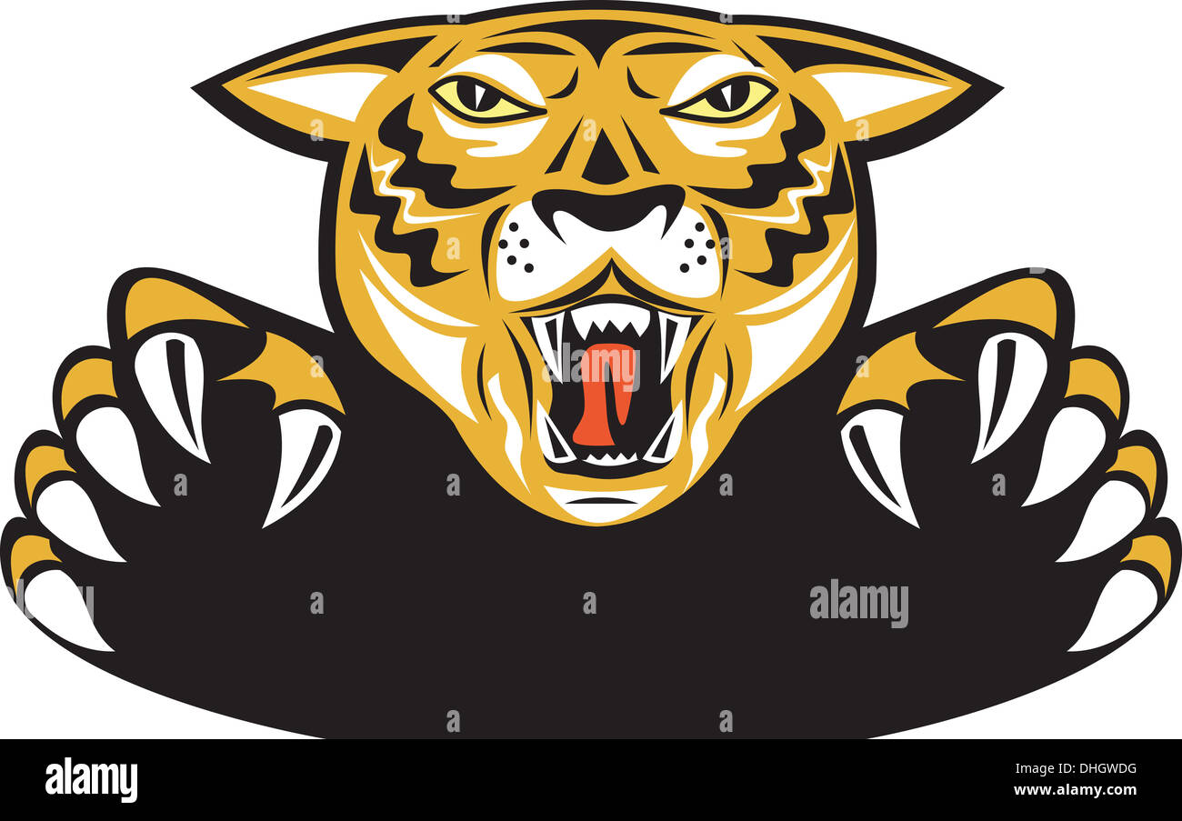 Illustration de tiger big cat tête en grognant avant situé sur fond blanc isolé fait en style rétro. Banque D'Images
