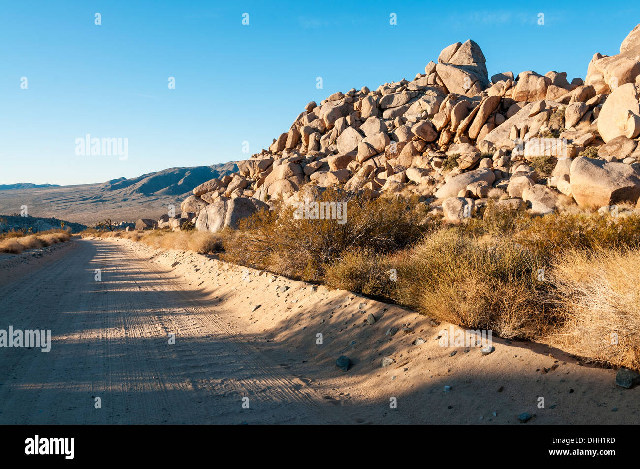 En Californie, le parc national Joshua Tree, la Road Banque D'Images