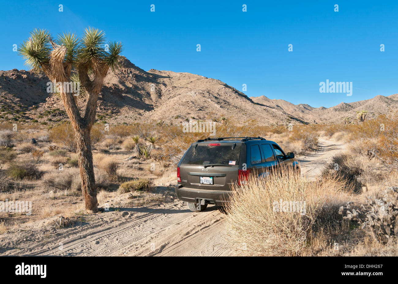 En Californie, le parc national Joshua Tree, Pleasant Valley, Jeep sur la route Banque D'Images