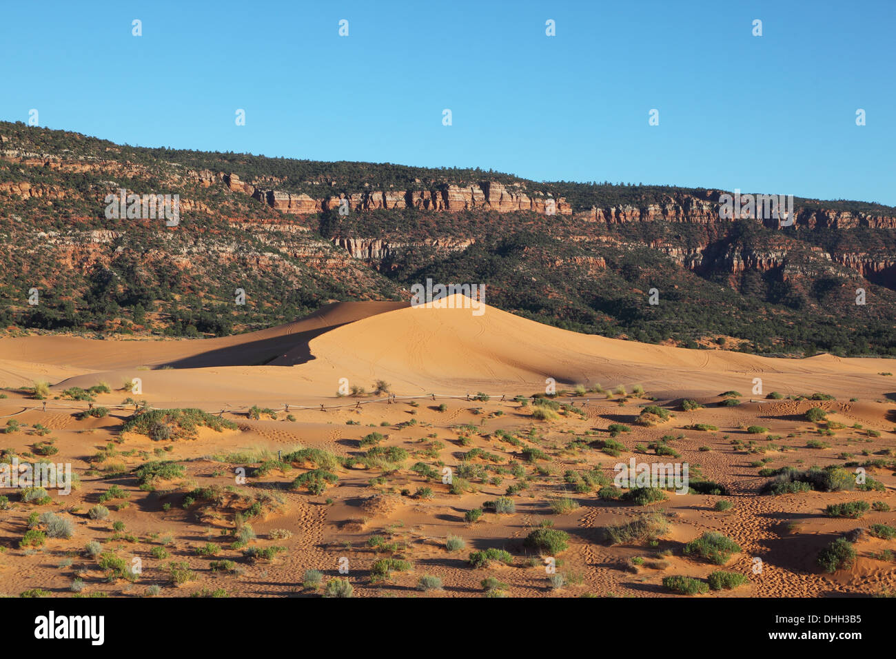 Dune orange élégant Banque D'Images