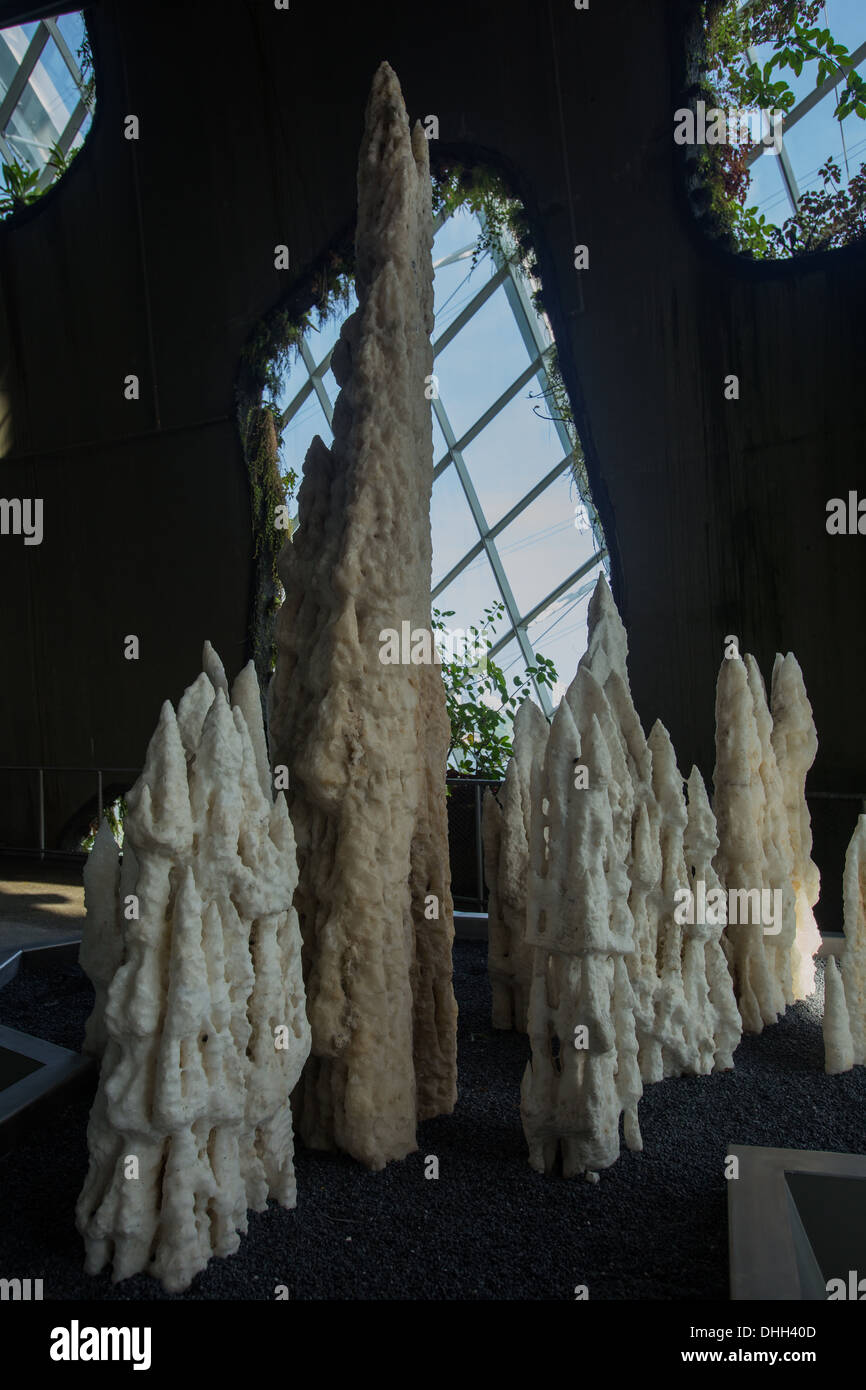 Dans les jardins de la montagne de cristal par la baie, à l'intérieur de la forêt 'Cloud' dome. Banque D'Images