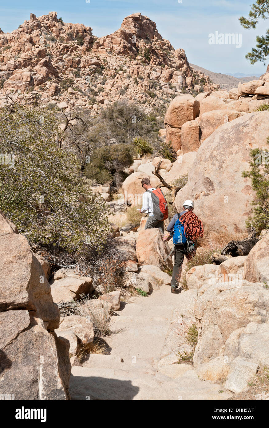 La Californie, Joshua Tree National Park, Hidden Valley Trail, à la randonnée, escalade escalade Banque D'Images