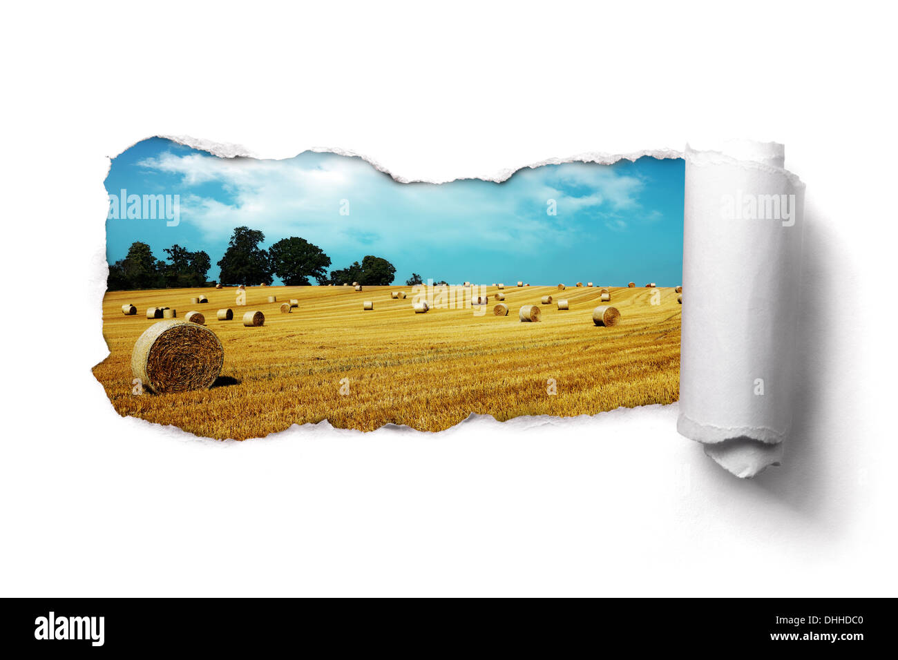 Papier déchiré sur une balle de foin d'été paysage champ Banque D'Images