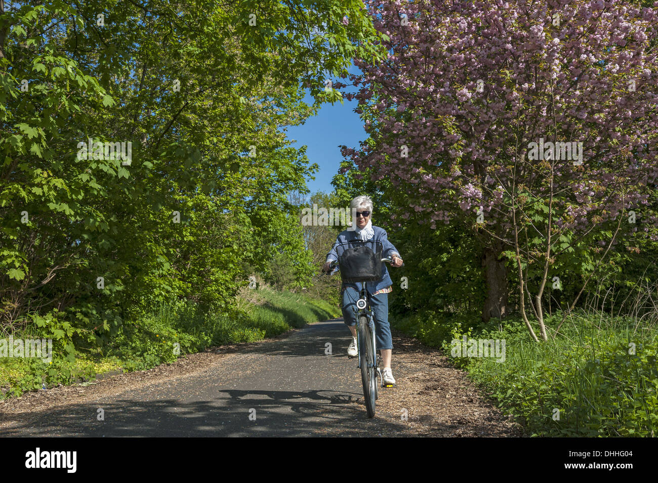 Senior sur une promenade en vélo au printemps Banque D'Images