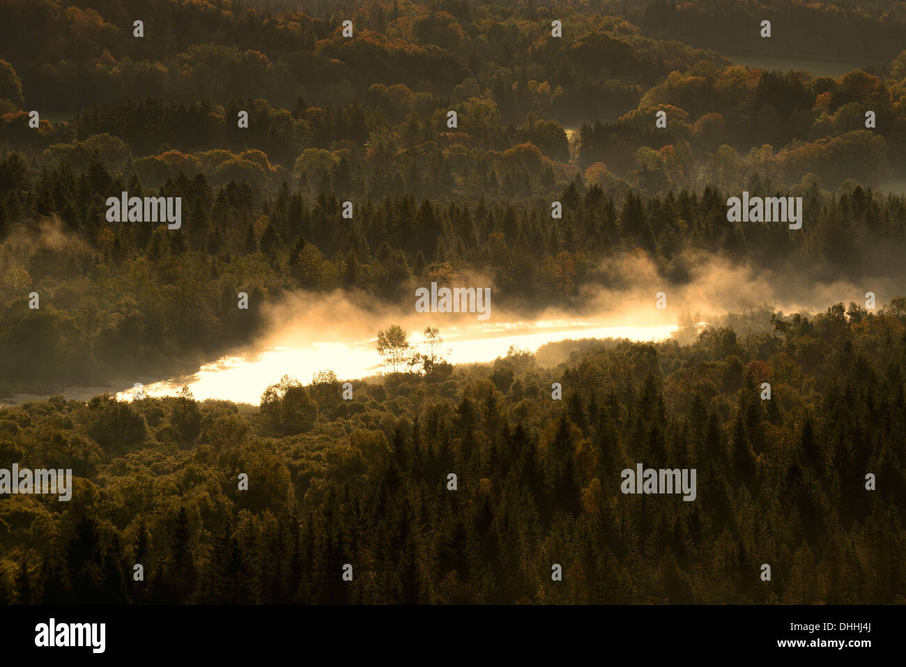 La rivière Isar, dans le brouillard du matin, Pupplinger Au, vallée de l'Isar, Schlederloh, traite, Haute-Bavière, Bavière, Allemagne Banque D'Images