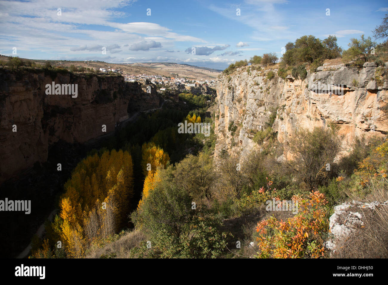 Les arbres d'automne avec les feuilles jaunissent en Alhama de Granada gorge (Canon de los Tajos), Andalousie, espagne. Banque D'Images