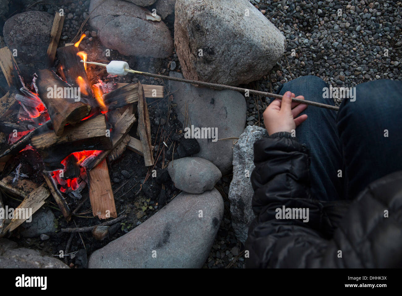 Cropped shot of boy's arms toasting les guimauves sur feu de camp Banque D'Images