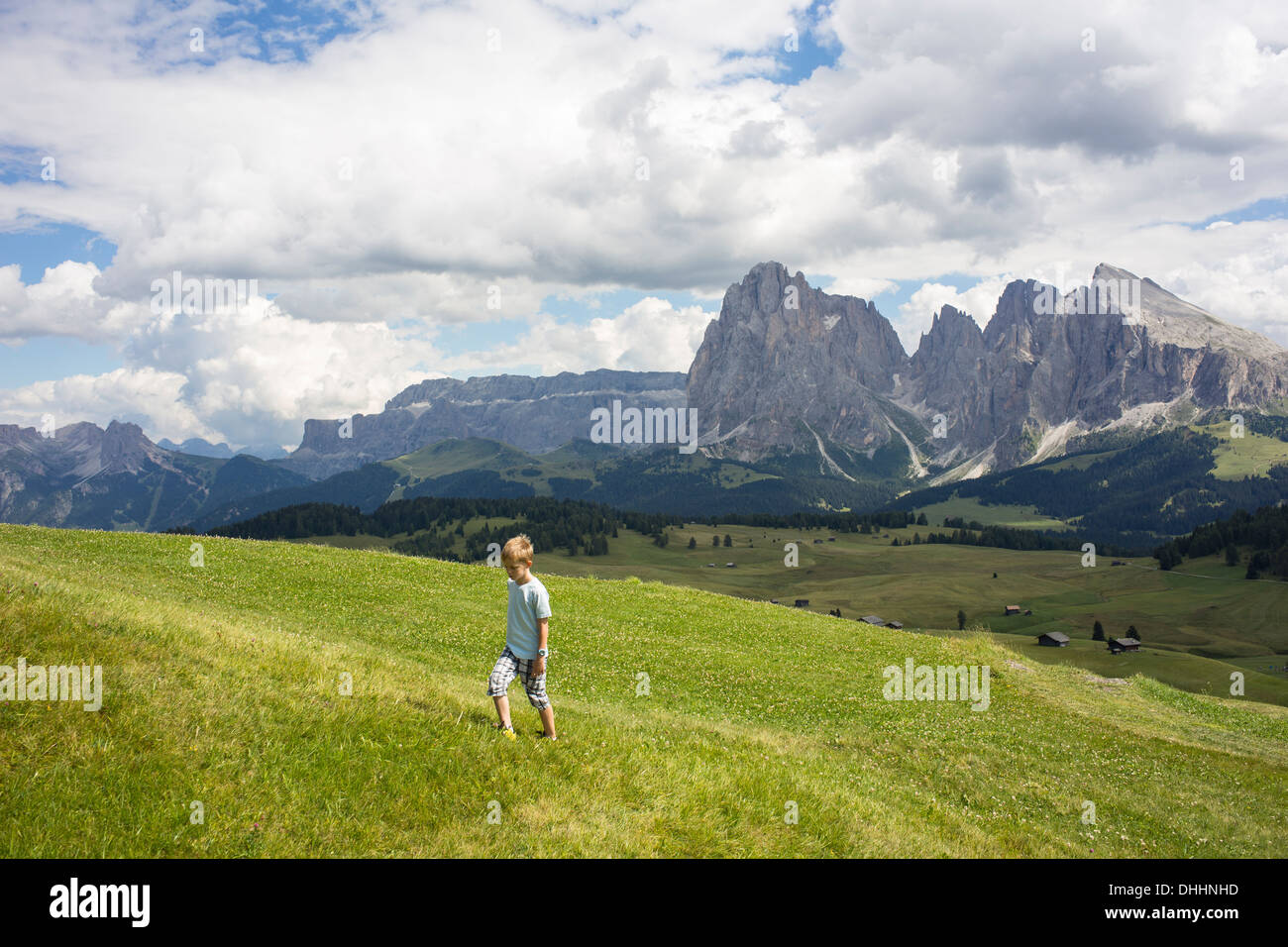 Boy walking up hill, Alto Alige, Tyrol du Sud, Italie Banque D'Images