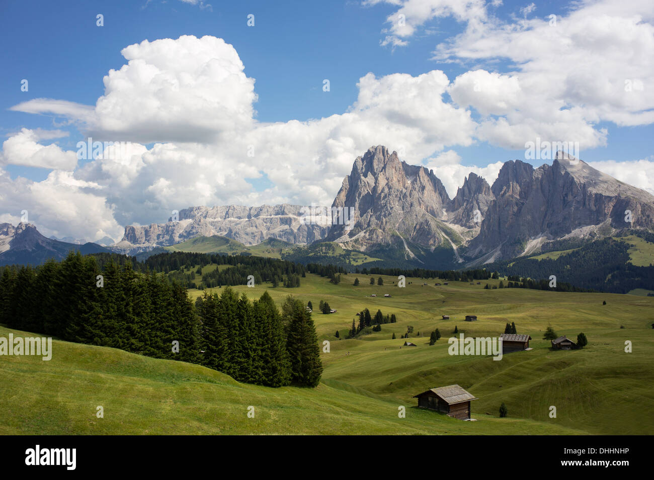 Paysage pittoresque, Alto Alige, Tyrol du Sud, Italie Banque D'Images