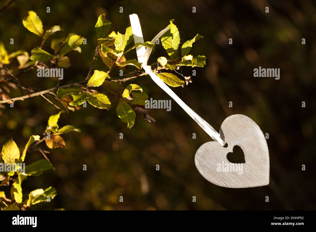L'amour est dans l'air Banque D'Images L'amour est dans l'air Banque D'Images