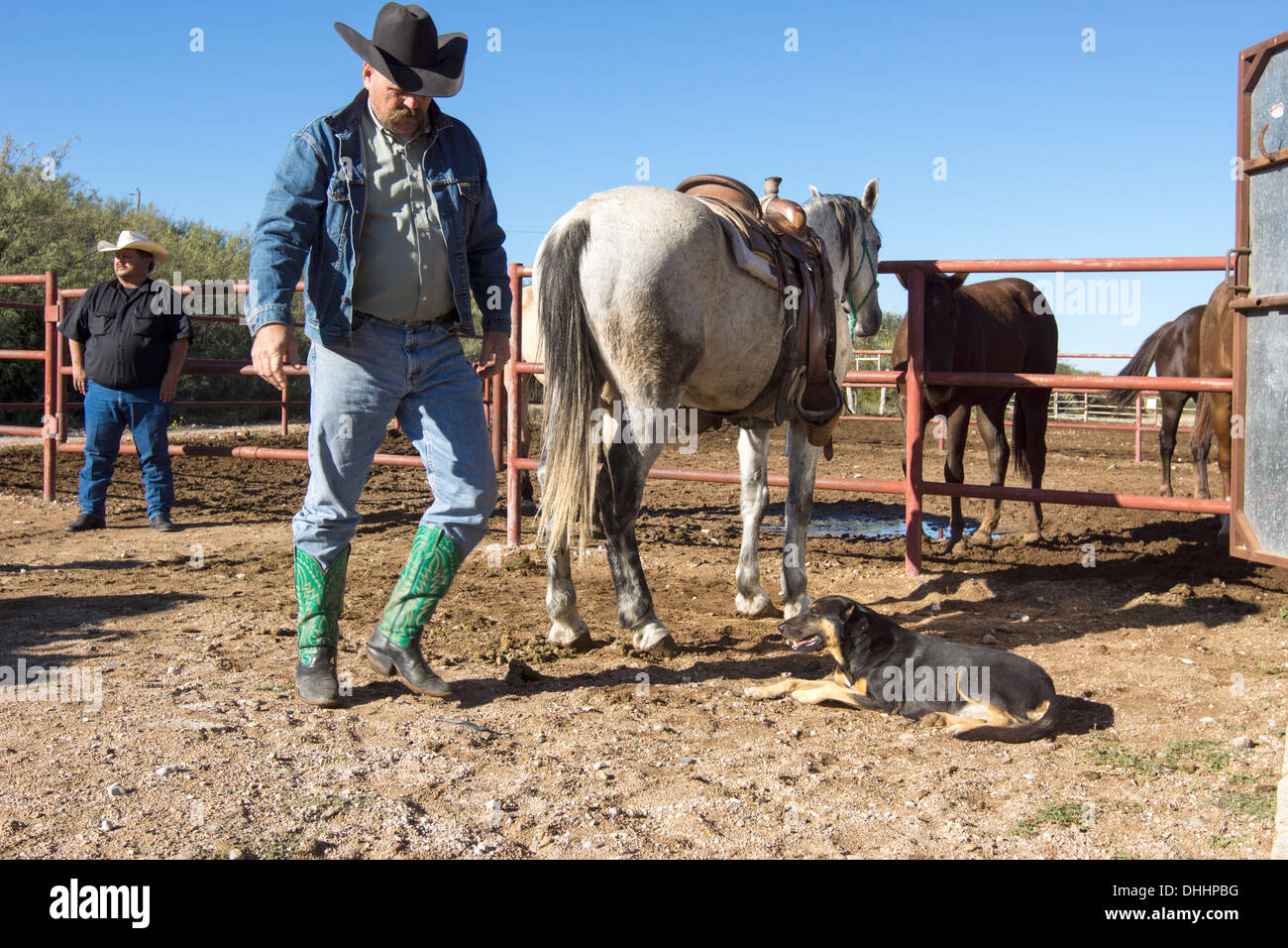 Les éleveurs dans l'ouest du Texas en début de matinée. Banque D'Images