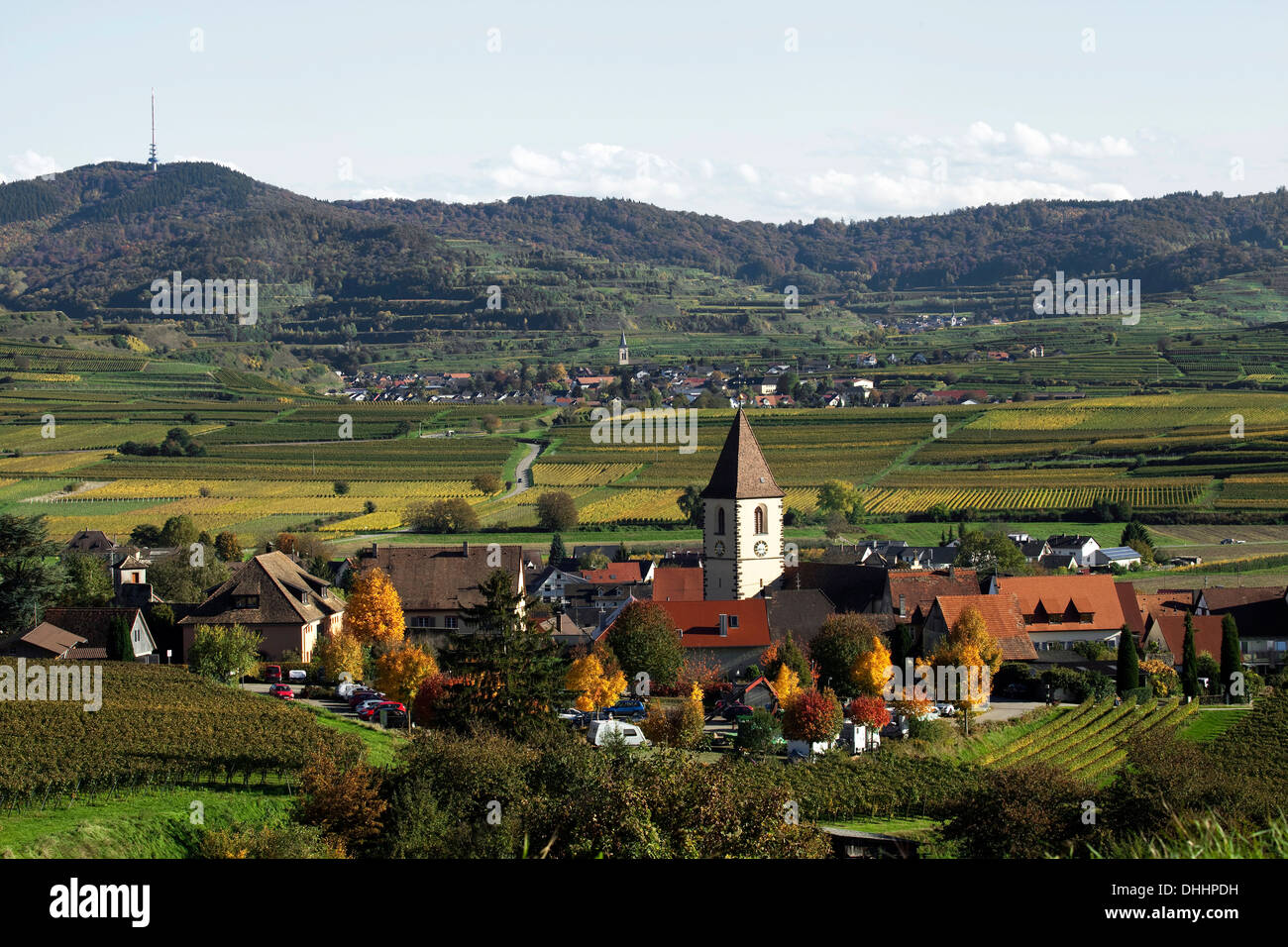 Village viticole et du paysage culturel à l'automne, Vogtsburg im Kaiserstuhl, Burkheim, Bade-Wurtemberg, Allemagne Banque D'Images