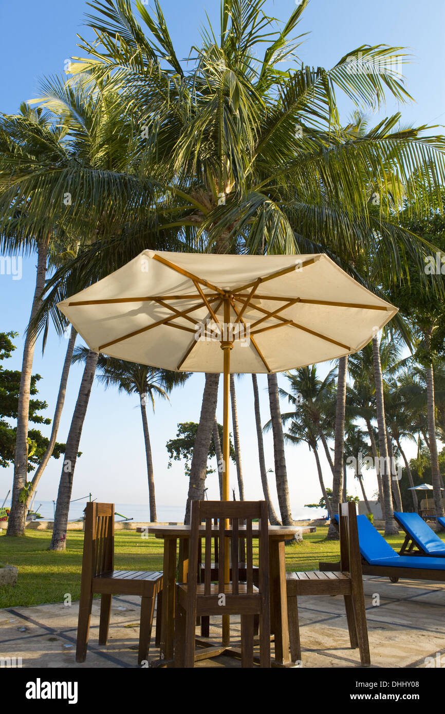 Le tableau sous un parasol, dans palm tree Banque D'Images