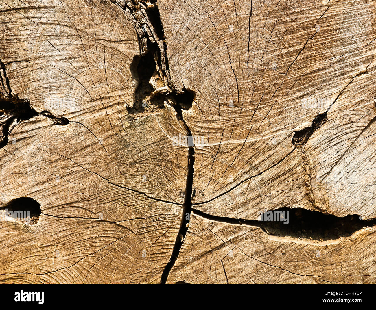 La texture du bois ancien. Banque D'Images