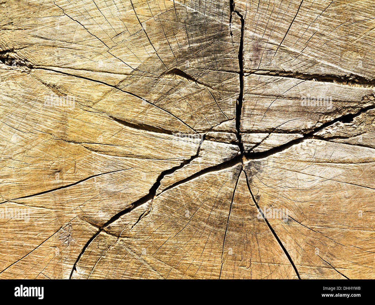 La texture du bois ancien. Banque D'Images