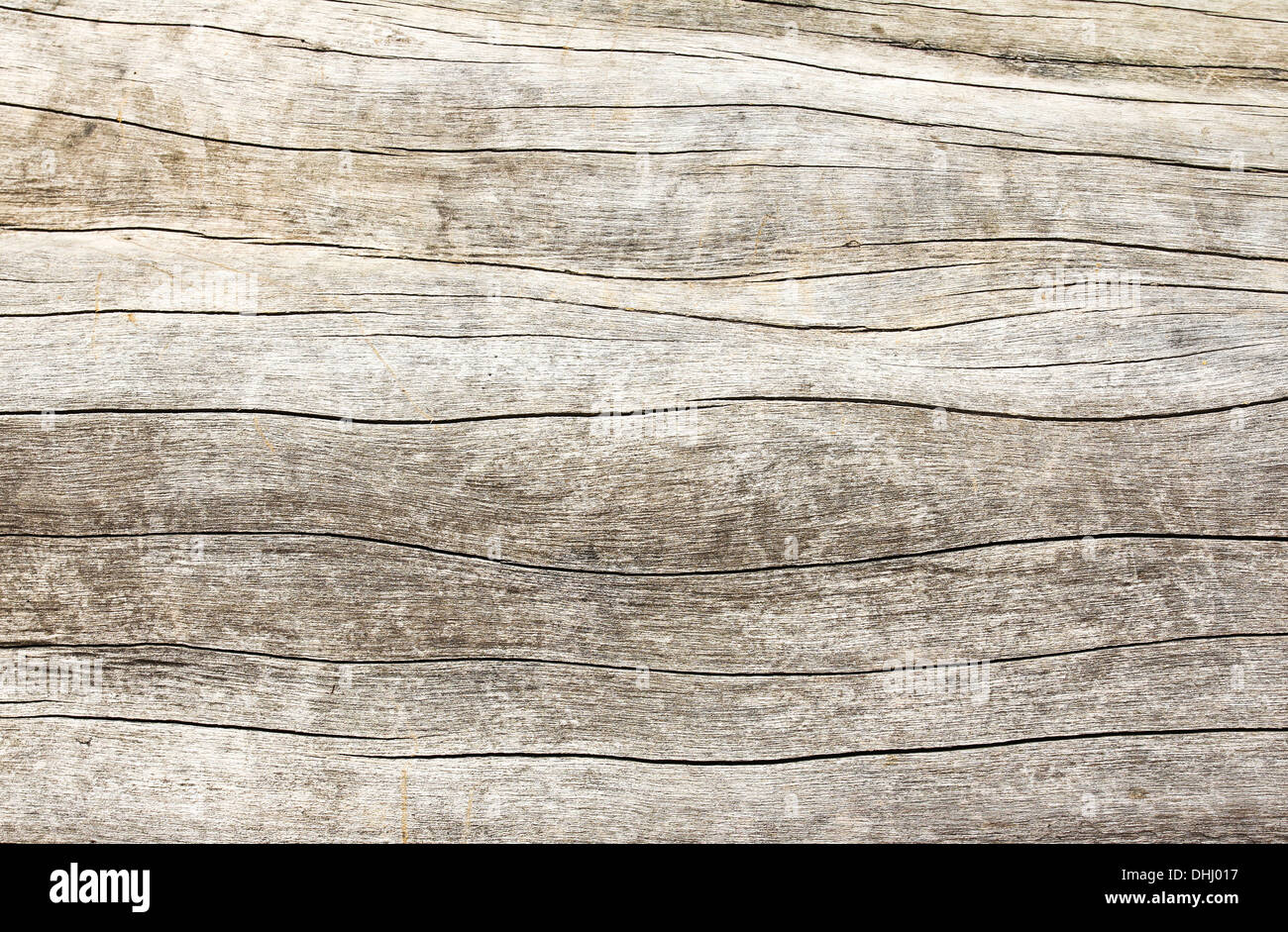 La texture du bois ancien. Banque D'Images