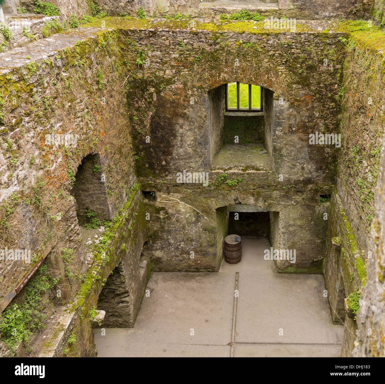 Le château de Blarney ou Blarnan na Caislean, comté de Cork, Irlande ou Eire Banque D'Images