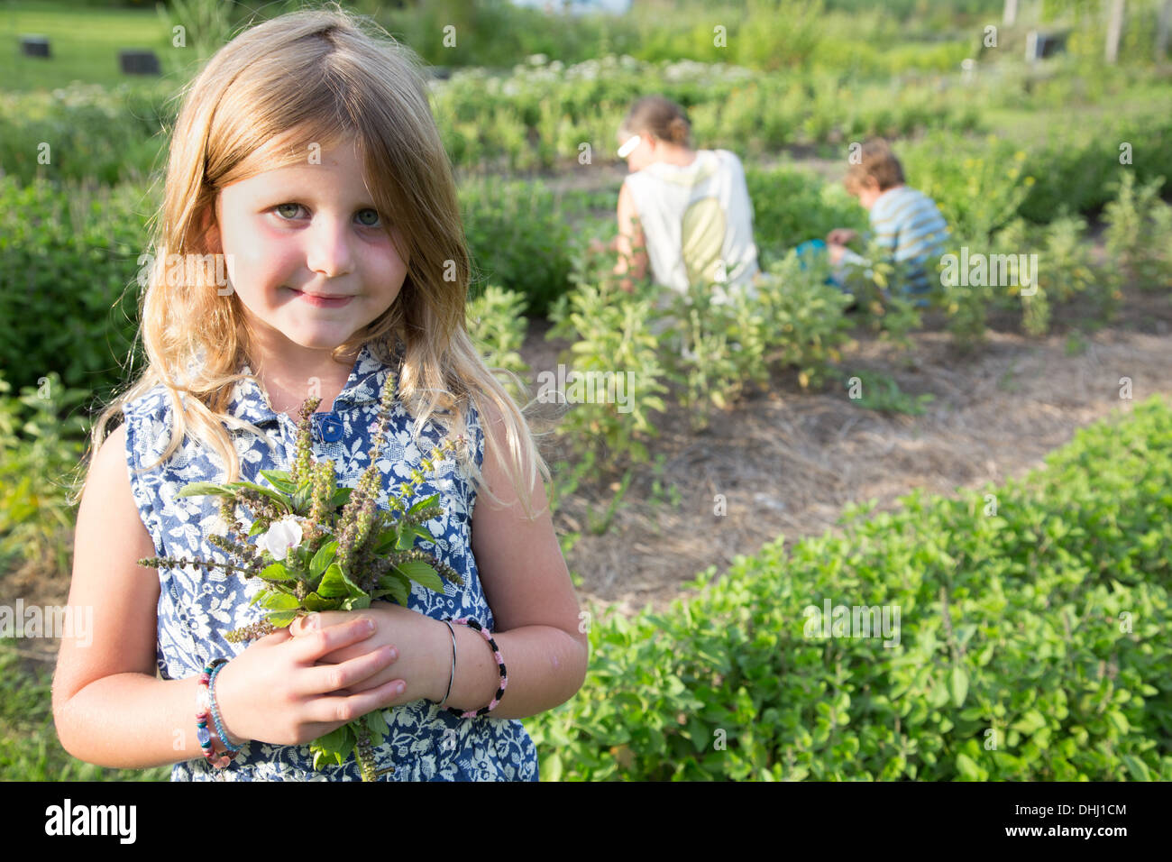 Portrait of Girl holding bunch du feuillage sur Herb Farm Banque D'Images
