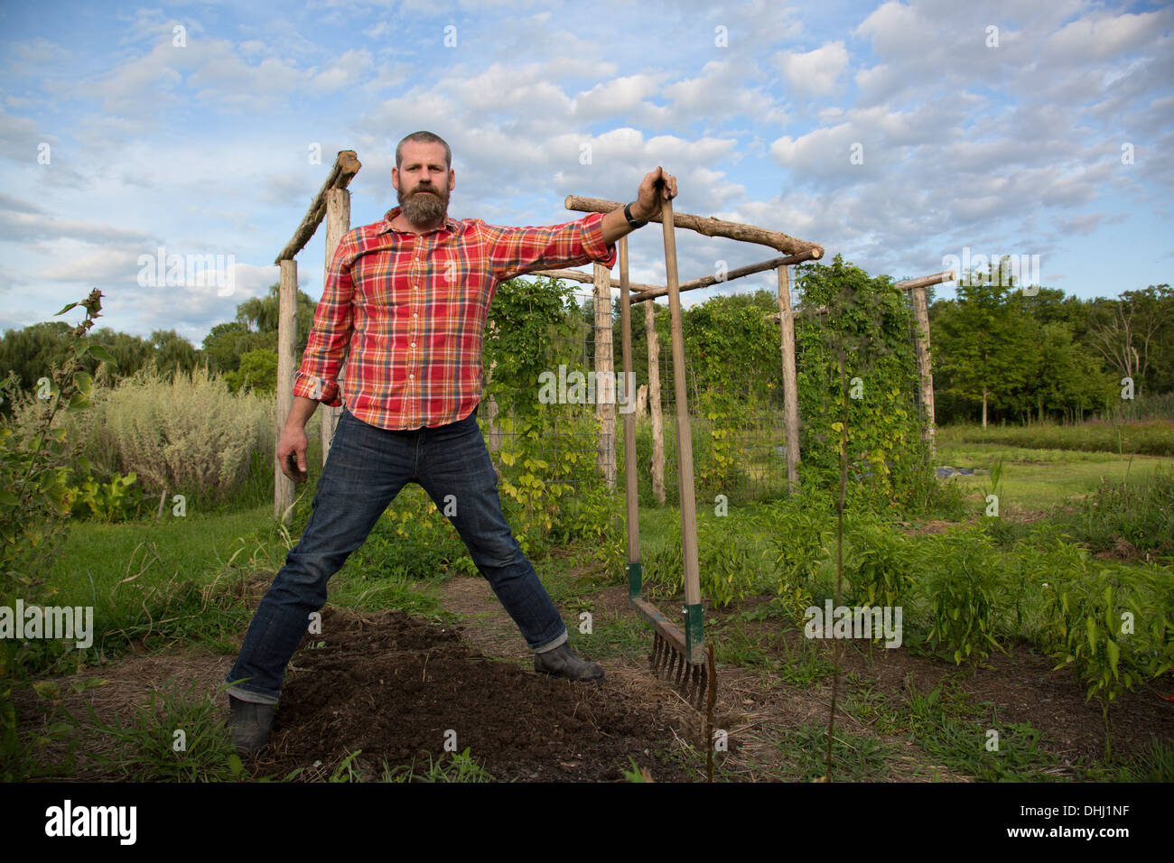 Mature man holding rake sur Herb Farm Banque D'Images