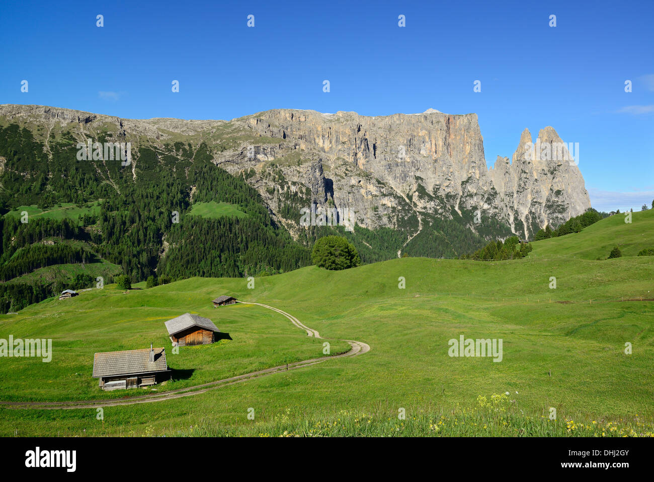 Prairie alpine et grange à foin en face de Sciliar et Rosszaehne, Berlin, Dolomites, site du patrimoine mondial de l'Dolomites, au Sud Banque D'Images