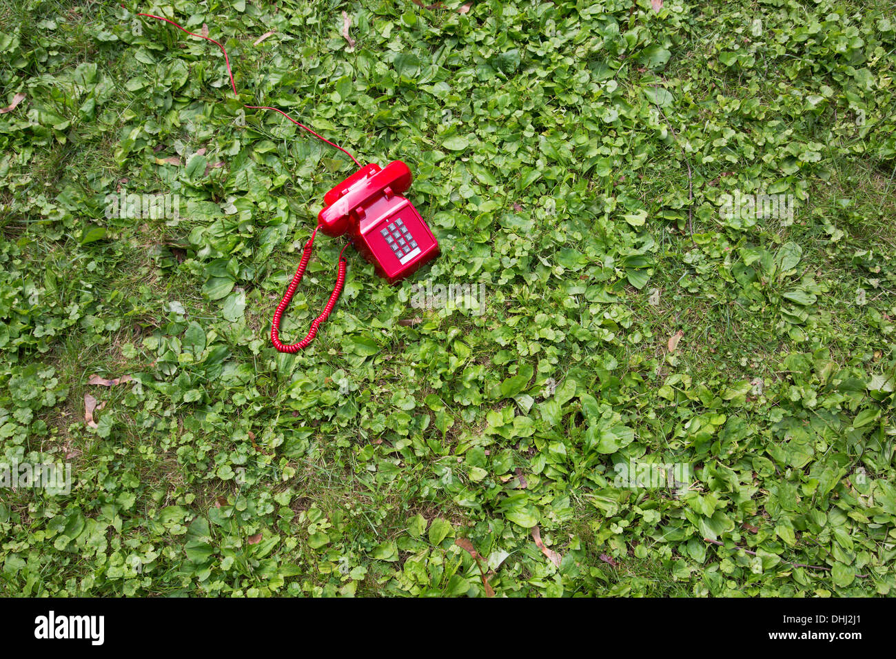 Téléphone rétro rouge sur l'herbe Banque D'Images