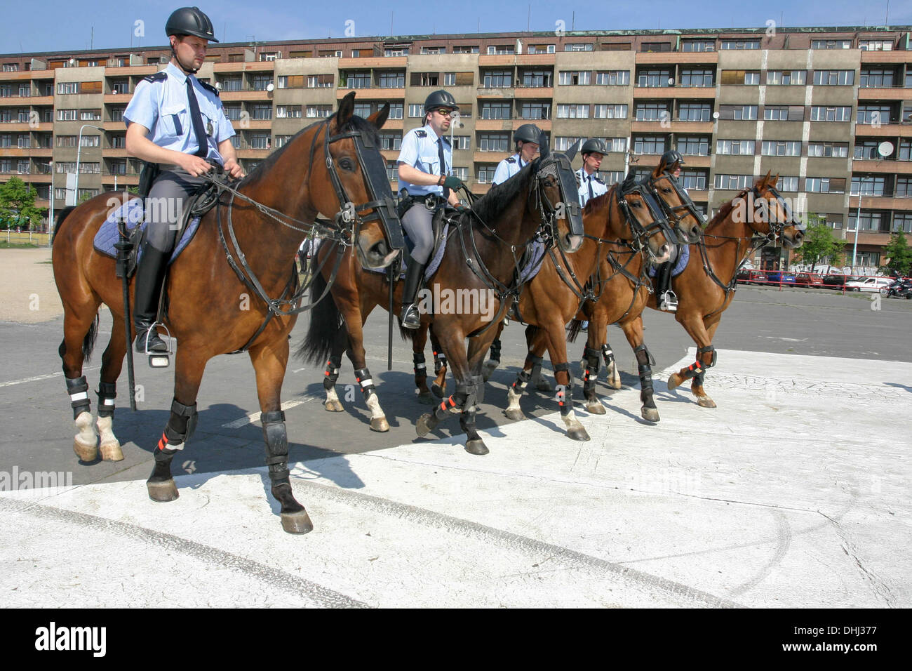 La police tchèque à cheval. L'Unité de la Police montée, Prague, République Tchèque Banque D'Images