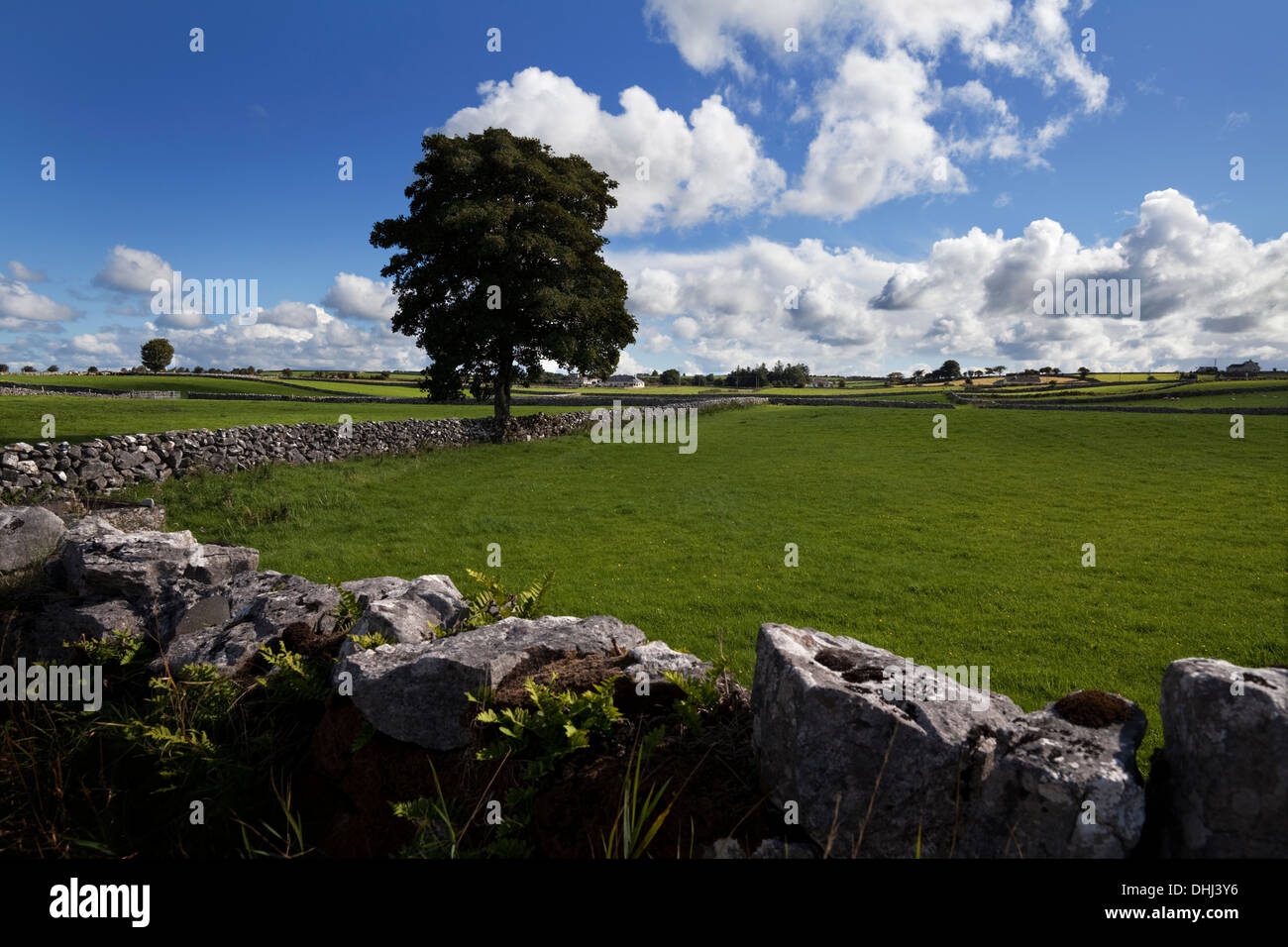 Terres agricoles entre Clonbur et Ballinrobe, Comté de Mayo, Irlande Banque D'Images