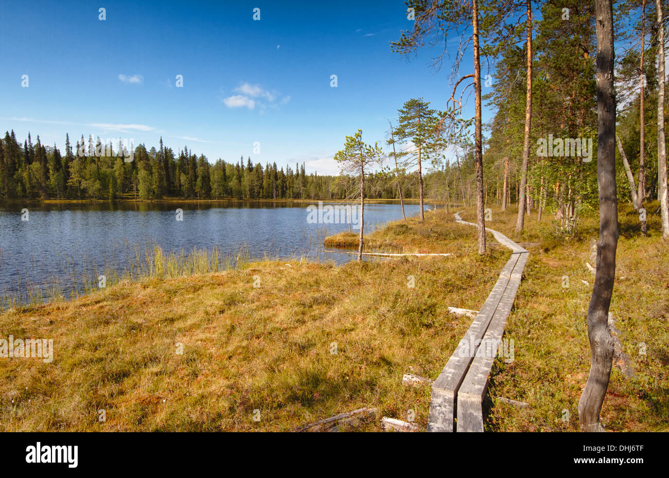 Paysage HDR en pleine nature avec une chaussée passe par l'eau et arbres Banque D'Images Paysage HDR en pleine nature avec une chaussée passe par l'eau et arbres Banque D'Images