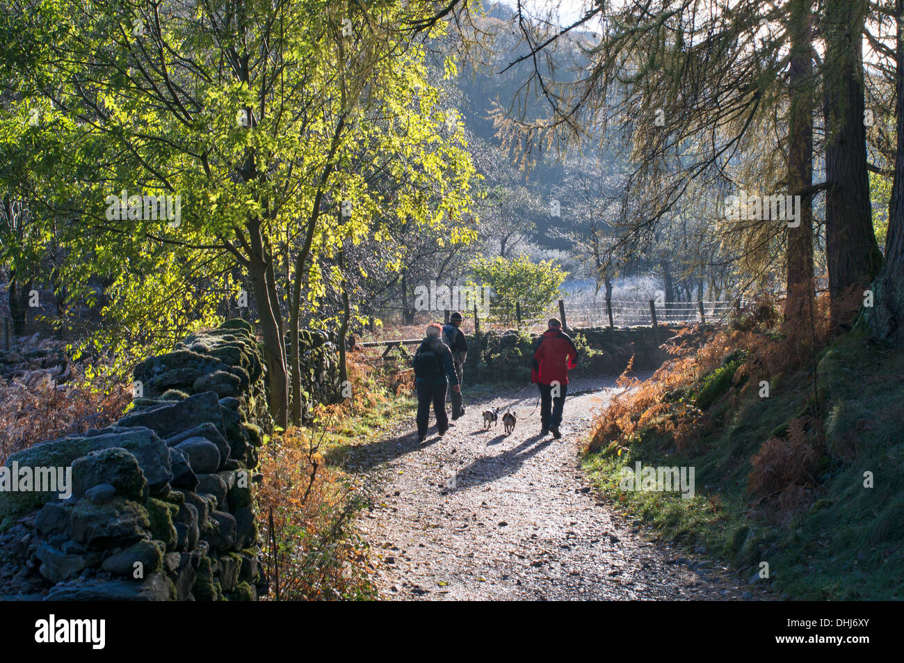 Les gens qui marchent avec des chiens près de Castle Crag en automne, Borrowdale, Cumbria, England, UK Banque D'Images