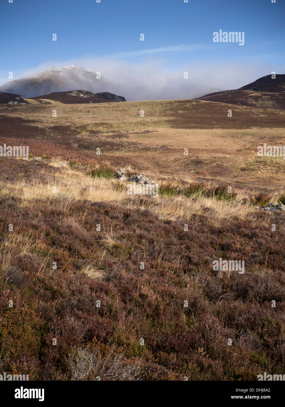 Ben Vrackie est une montagne près de Pitlochry dans le Perthshire, Écosse Banque D'Images