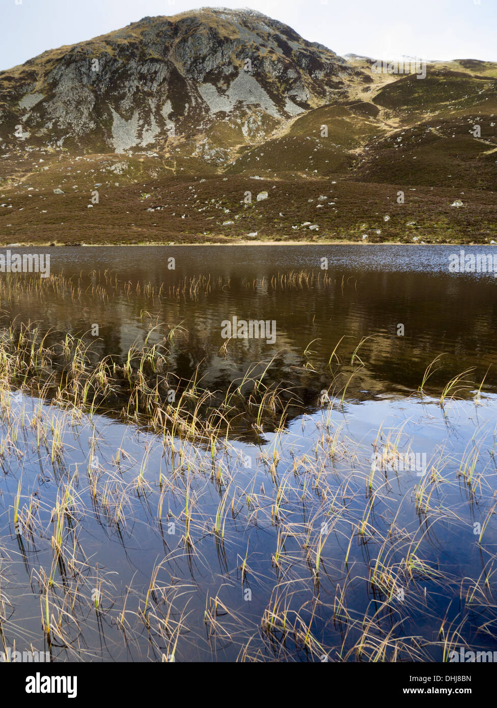 Le loch a' Dromore West sous Ben Vrackie, une montagne près de Pitlochry dans le Perthshire, Écosse Banque D'Images