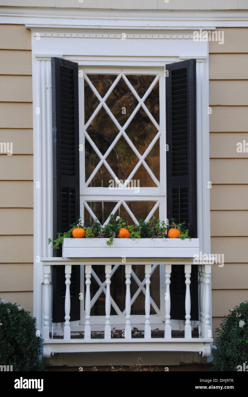 Belle fenêtre de travail au treillis et jardinière blanche à motif de crapets de décoration d'automne, avec des volets noirs. Banque D'Images