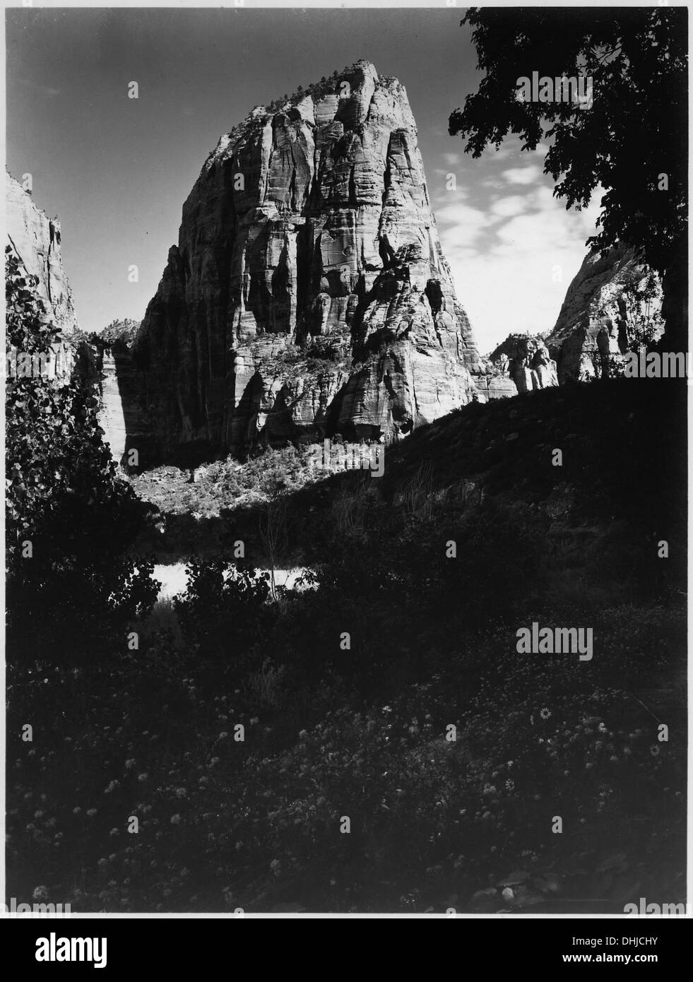 Cette photographie montre une vue panoramique d'Angel Landing, une formation rocheuse célèbre dans le parc national de Zion, vue depuis le terrain de camping supérieur. Il capture la beauté naturelle du paysage du parc. Banque D'Images