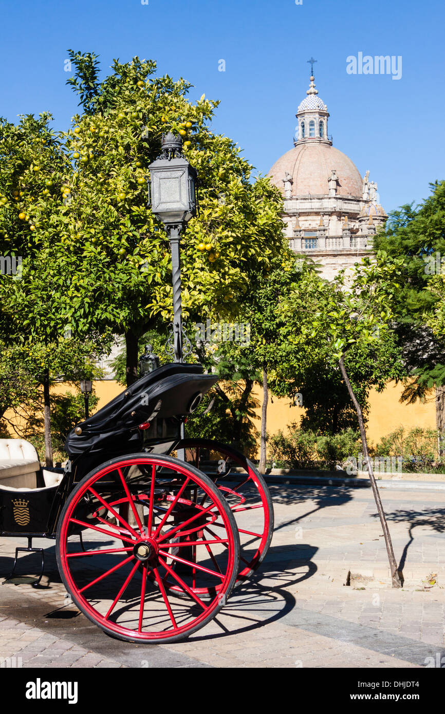 Chariot Buggy à côté de la cathédrale de San Salvador. Jerez de la Frontera, province de Cadiz, Andalousie, Espagne Banque D'Images