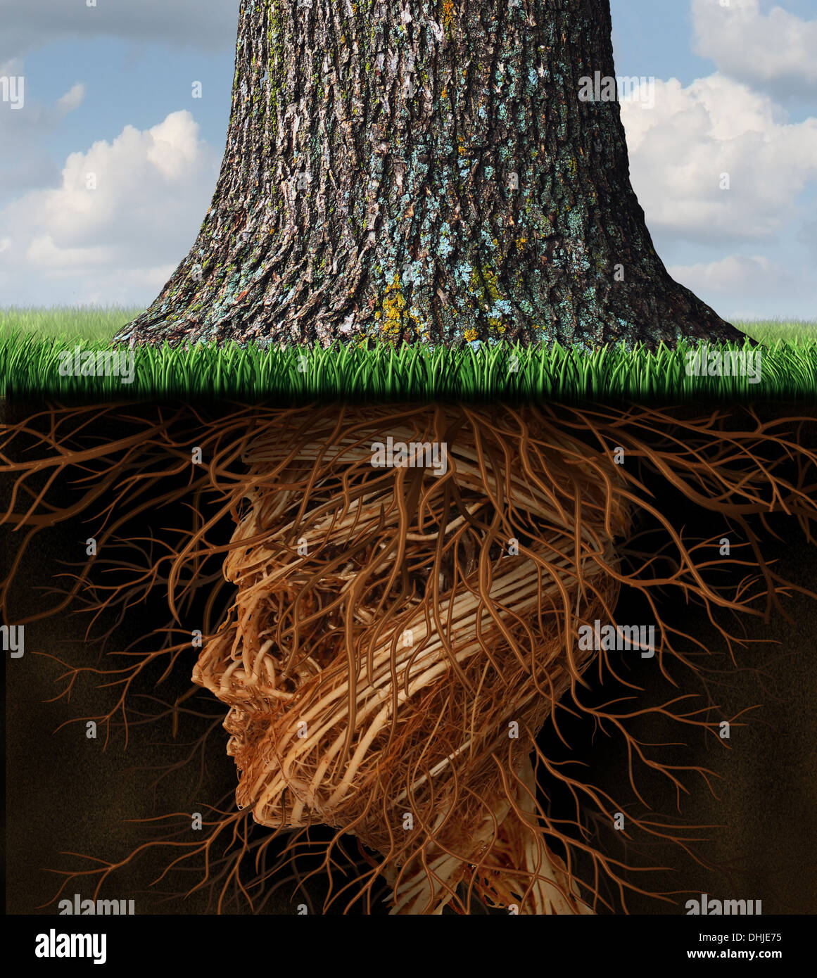 Prendre racine et enracinement et soins de santé entreprise concept avec des racines d'arbre souterrain sous la forme d'une tête humaine comme un grand arbre se développe au-dessus sous la forme d'une icône de la croissance et de la réussite dans le domaine des soins de santé et de richesse. Banque D'Images