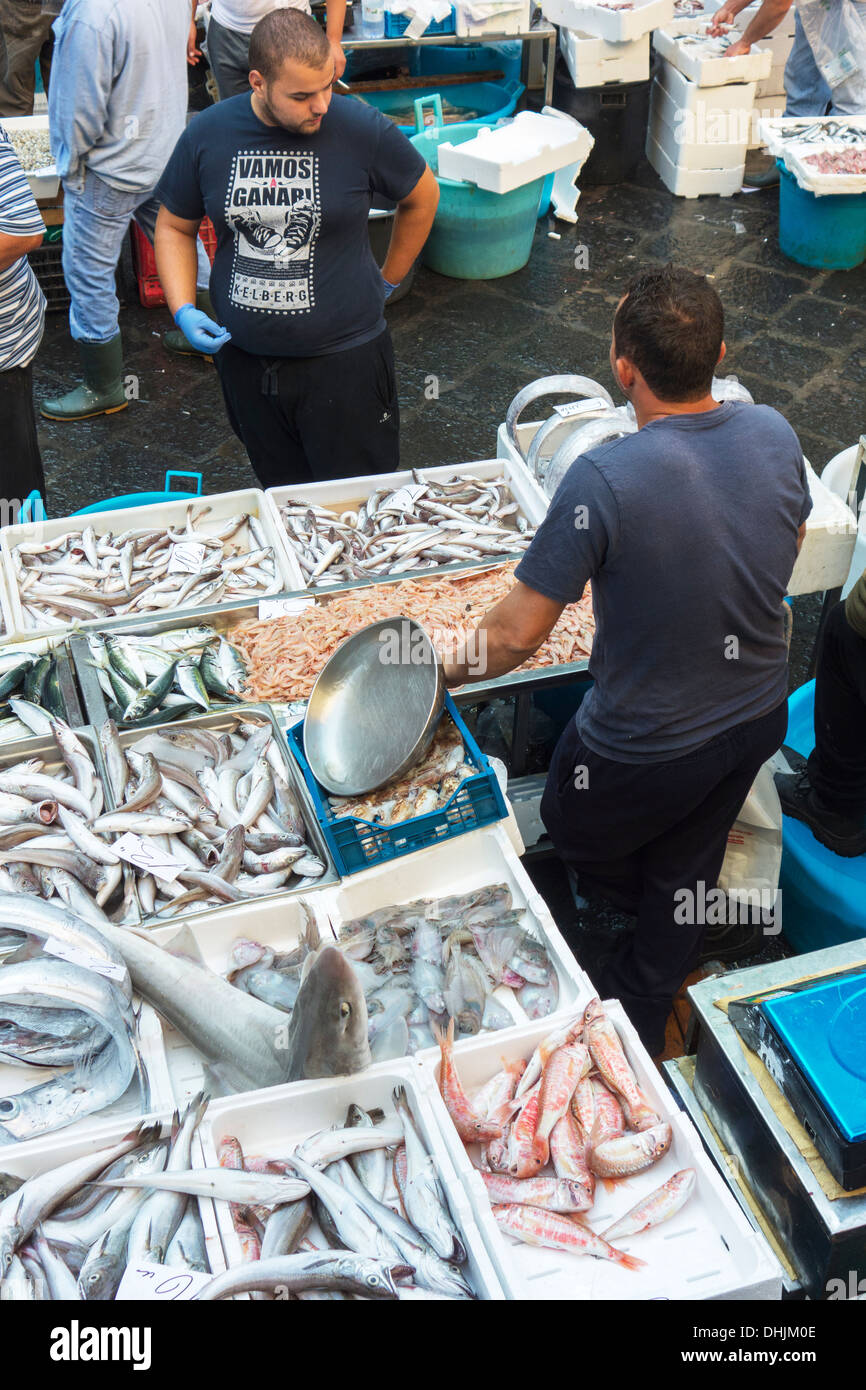 La vente du poisson dans le marché aux poissons, la Pescheria, Catane, Sicile, Italie Banque D'Images