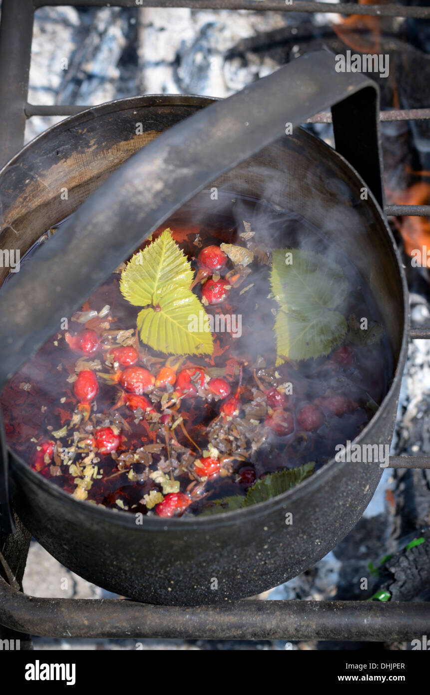 Faire du thé sur un feu ouvert, Kamtschatka, Russie Banque D'Images