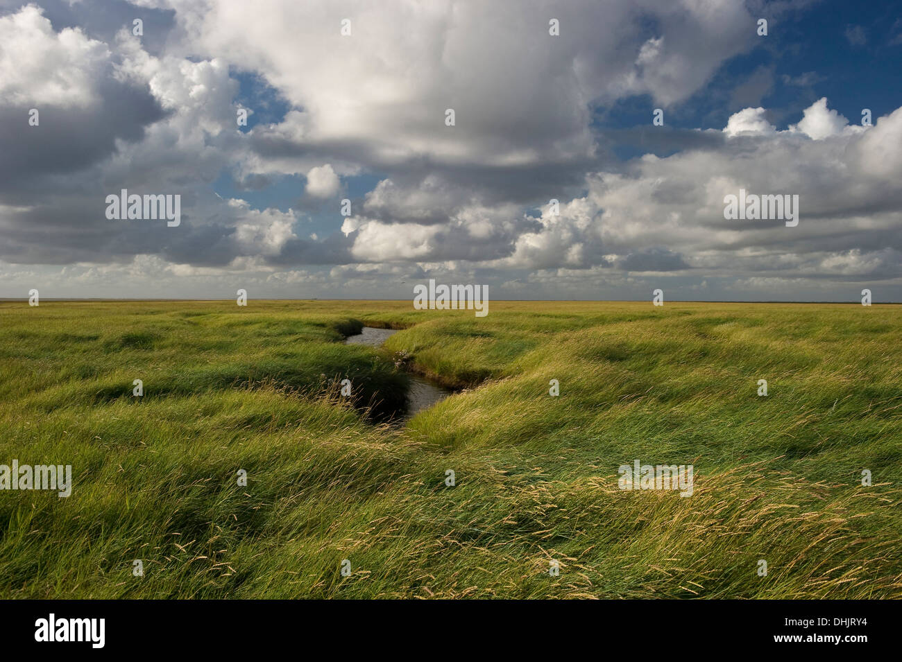 Ciel nuageux au-dessus de prés-salés, Büsum, Parc National de la mer des Wadden, péninsule Eiderstedt, au nord de l'archipel Frison, Schleswig-Ho Banque D'Images Ciel nuageux au-dessus de prés-salés, Büsum, Parc National de la mer des Wadden, péninsule Eiderstedt, au nord de l'archipel Frison, Schleswig-Ho Banque D'Images
