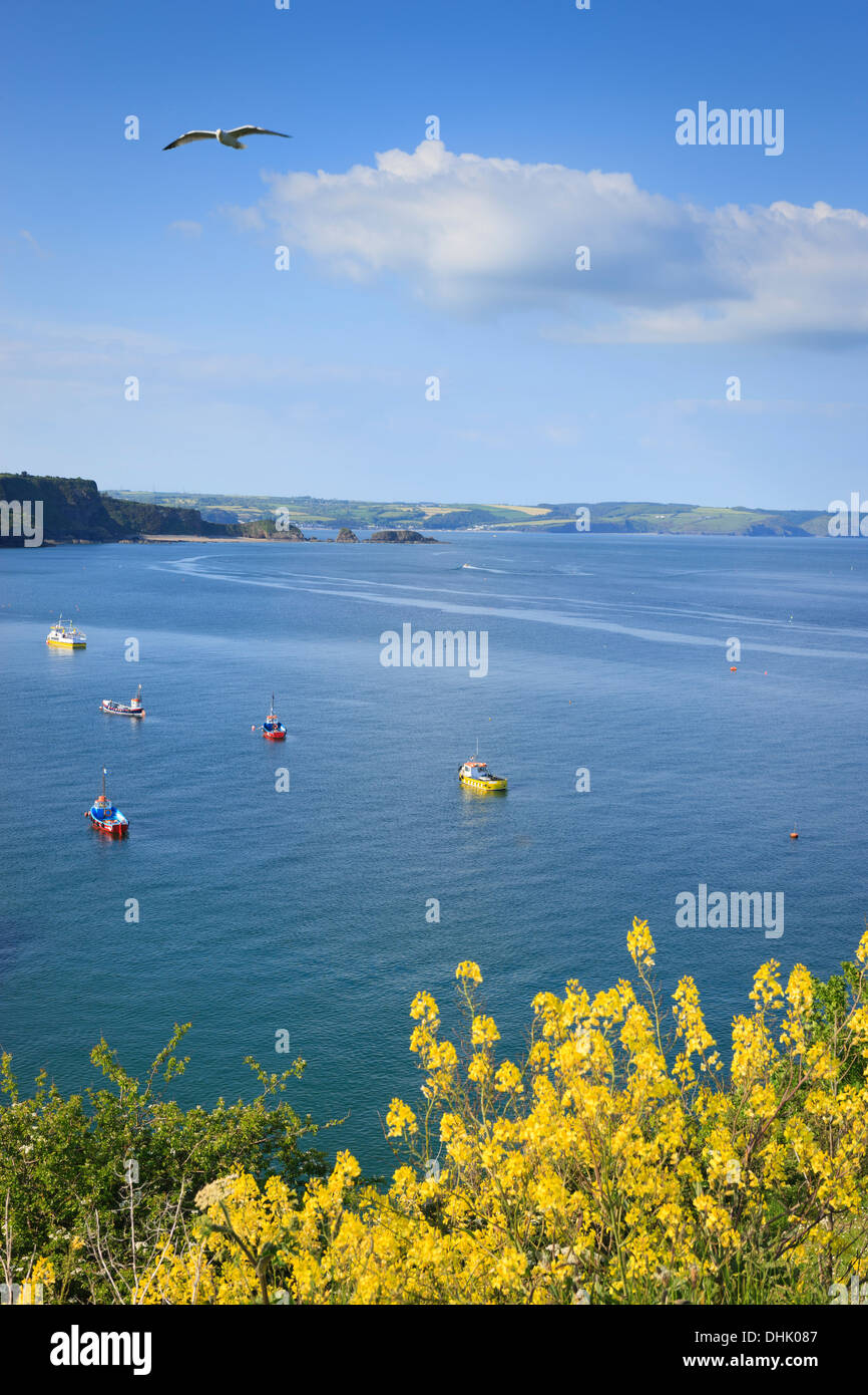 La vue depuis la colline du Château Tenby, Pembrokeshire Wales Banque D'Images