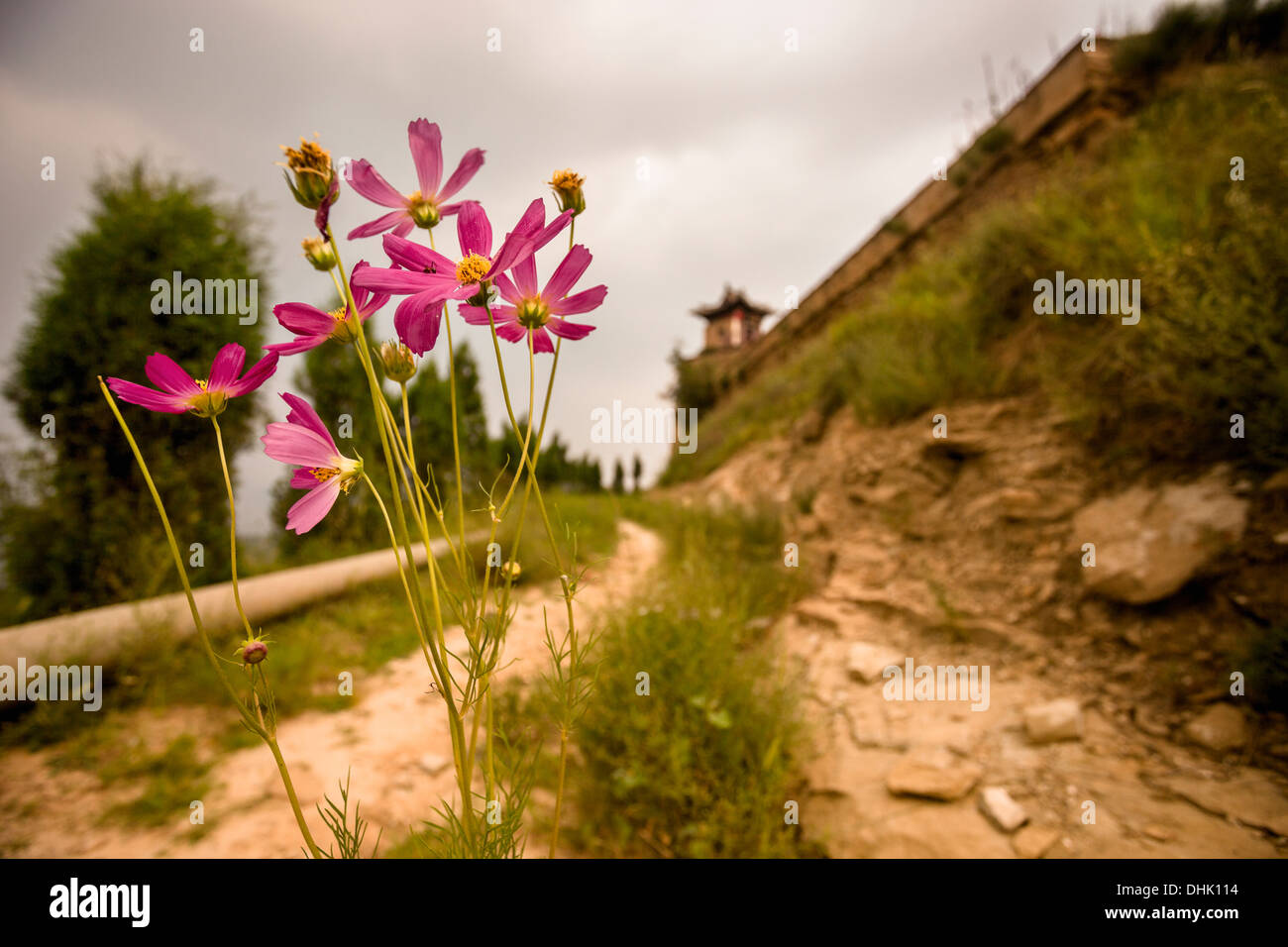 Chemin de terre avec des fleurs jusqu'à petite pagode dans une zone rurale, dans la province du Shanxi, Chine Banque D'Images