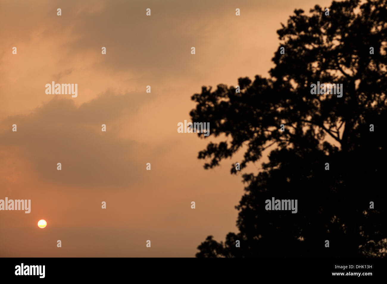 Paysage de coucher du soleil par un arbre, Province de Shanxi, Chine Banque D'Images
