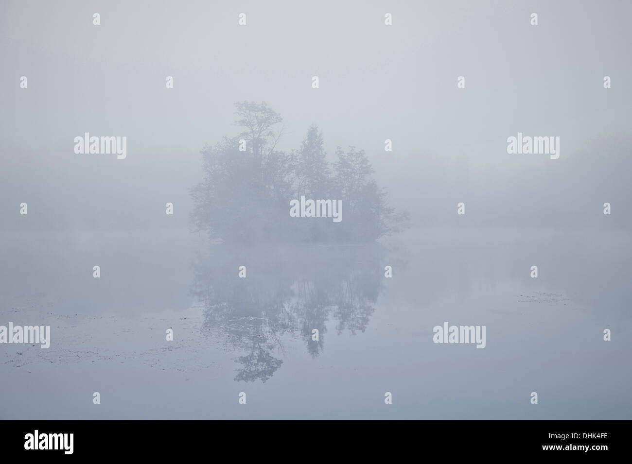 Petite île dans le lac de la forêt entouré de brouillard, Günzburg autour de Guenzburg, Schwaben, Bavière, Allemagne Banque D'Images