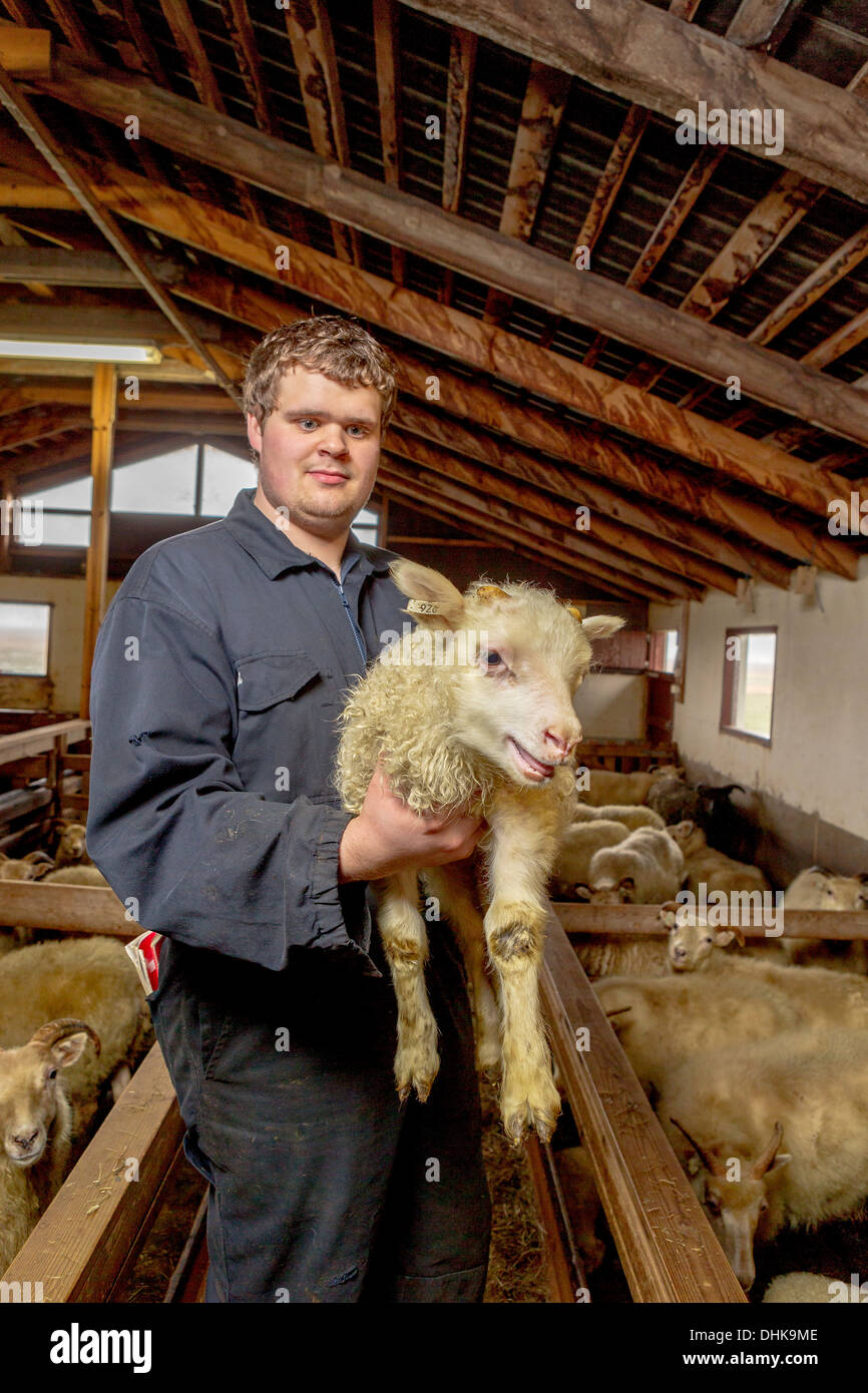 Farmer holding agneau nouveau-né, de l'Est, l'Islande Banque D'Images