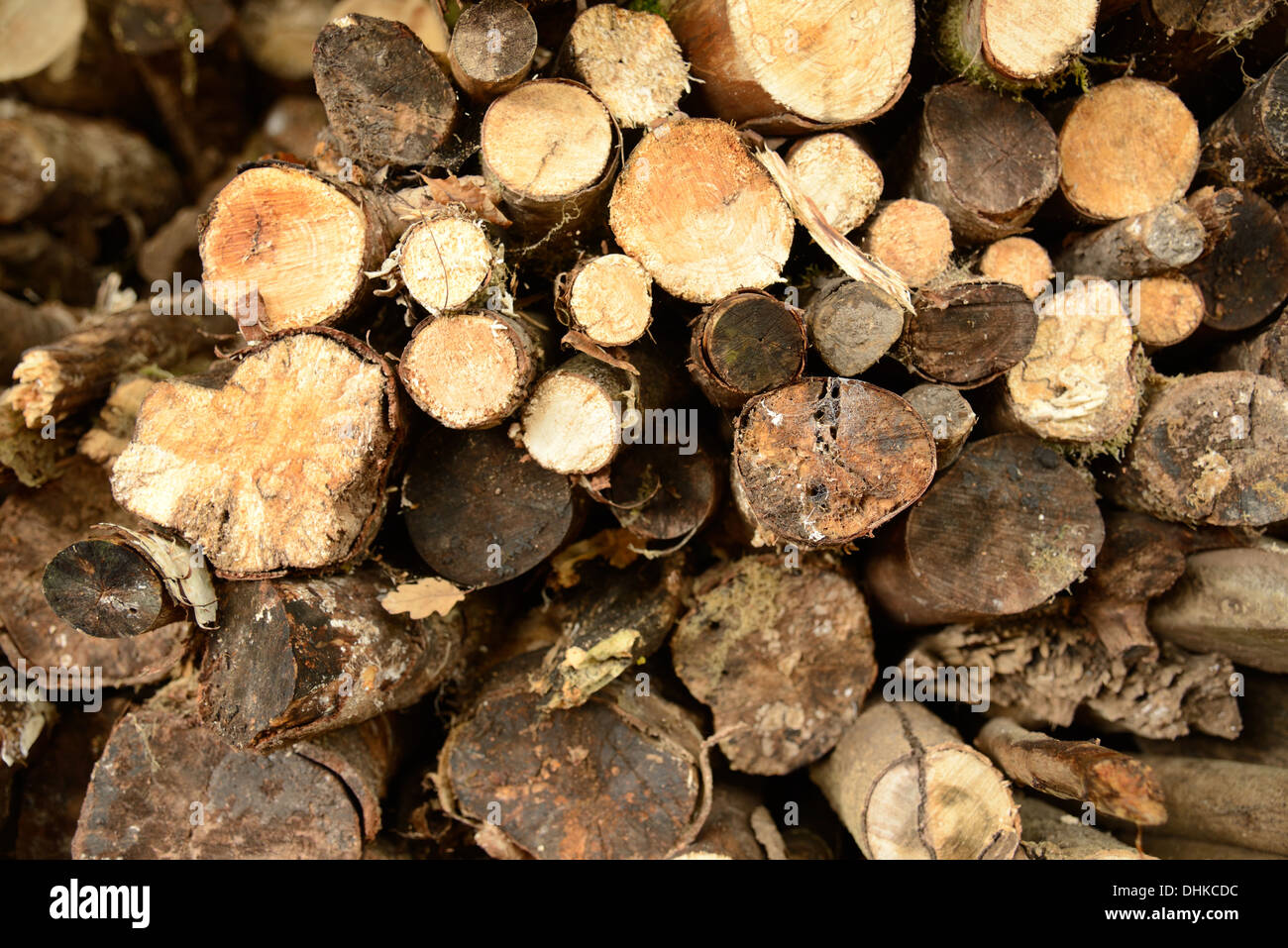 Pile de billots vue close-up de la fin Banque D'Images