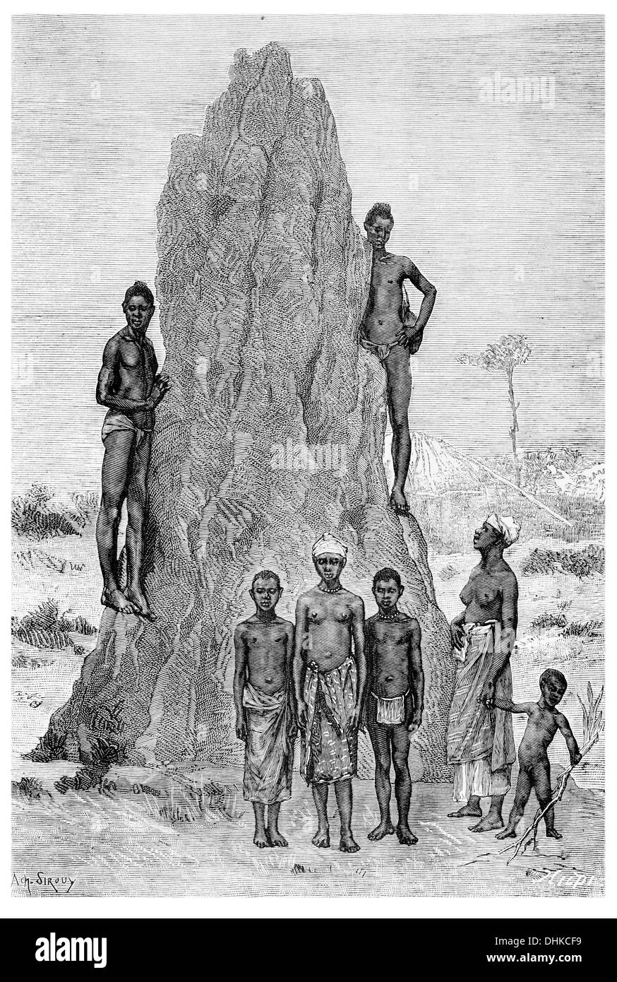 1888 Bujango types et les termites Guinée Guinea nid Banque D'Images