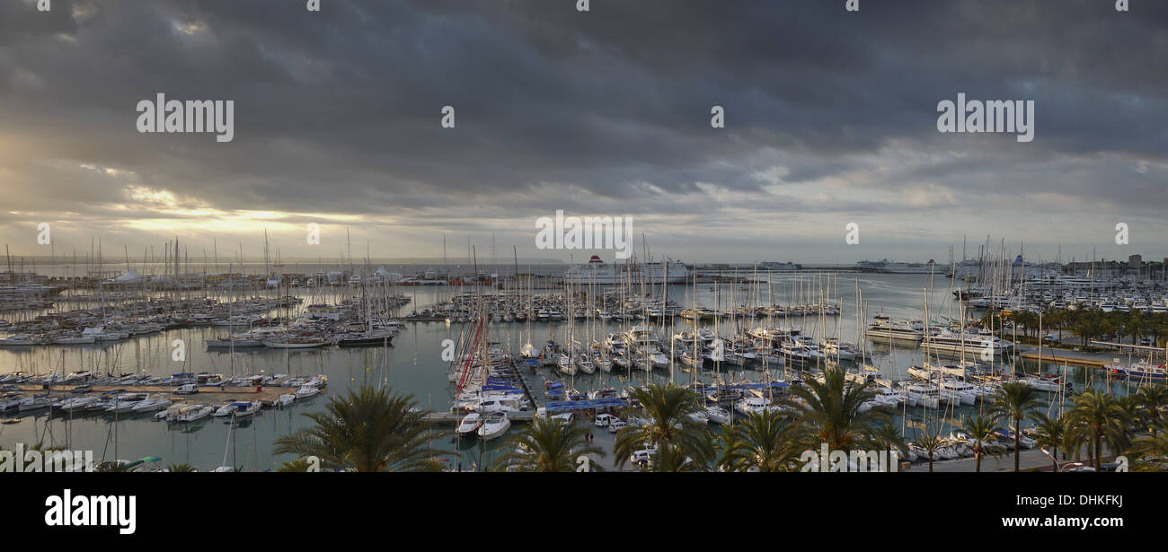 Vue panoramique sur le port de plaisance de Palma de Majorque Banque D'Images