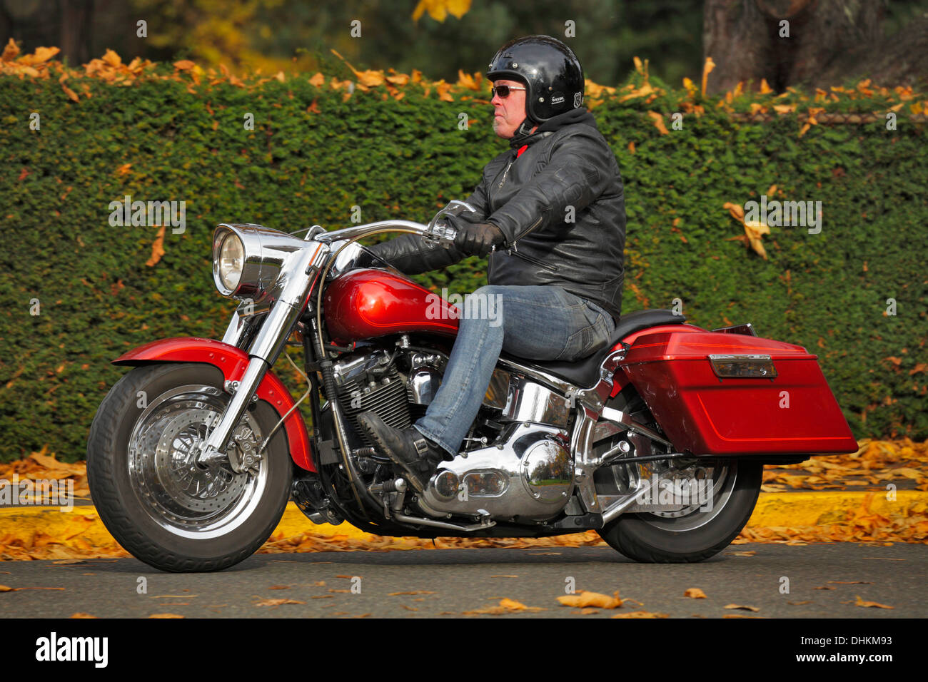 Man riding sa grande moto rouge sur jour d'automne dans la région de Beacon Hill Colombie-Britannique Canada Park-Victoria. Banque D'Images