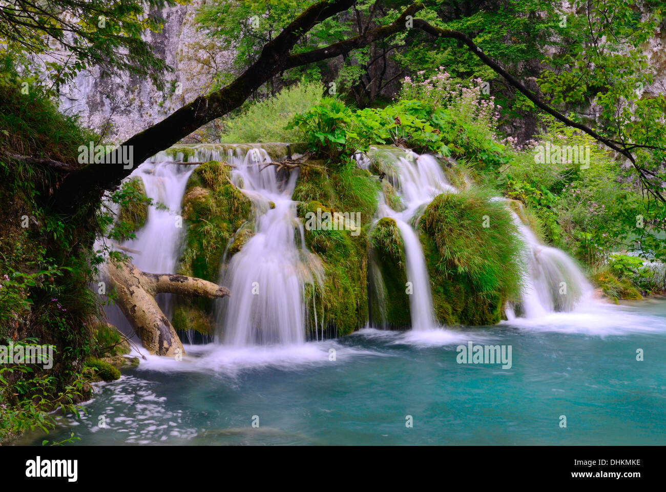 Cascades du Parc National de Plitvice Croatie Banque D'Images